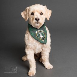Scottish MacLean Hunting Ancient Clan Crest Tartan Pets Scarf Pet Dog Bandana