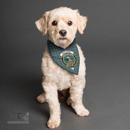 Scottish MacLaren Ancient Clan Crest Tartan Pets Scarf Pet Dog Bandana