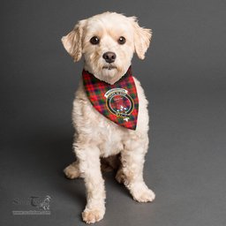 Scottish MacNaughton Modern Clan Crest Tartan Pets Scarf Pet Dog Bandana