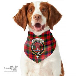 Scottish MacNaughton Modern Clan Crest Tartan Pets Scarf Pet Dog Bandana