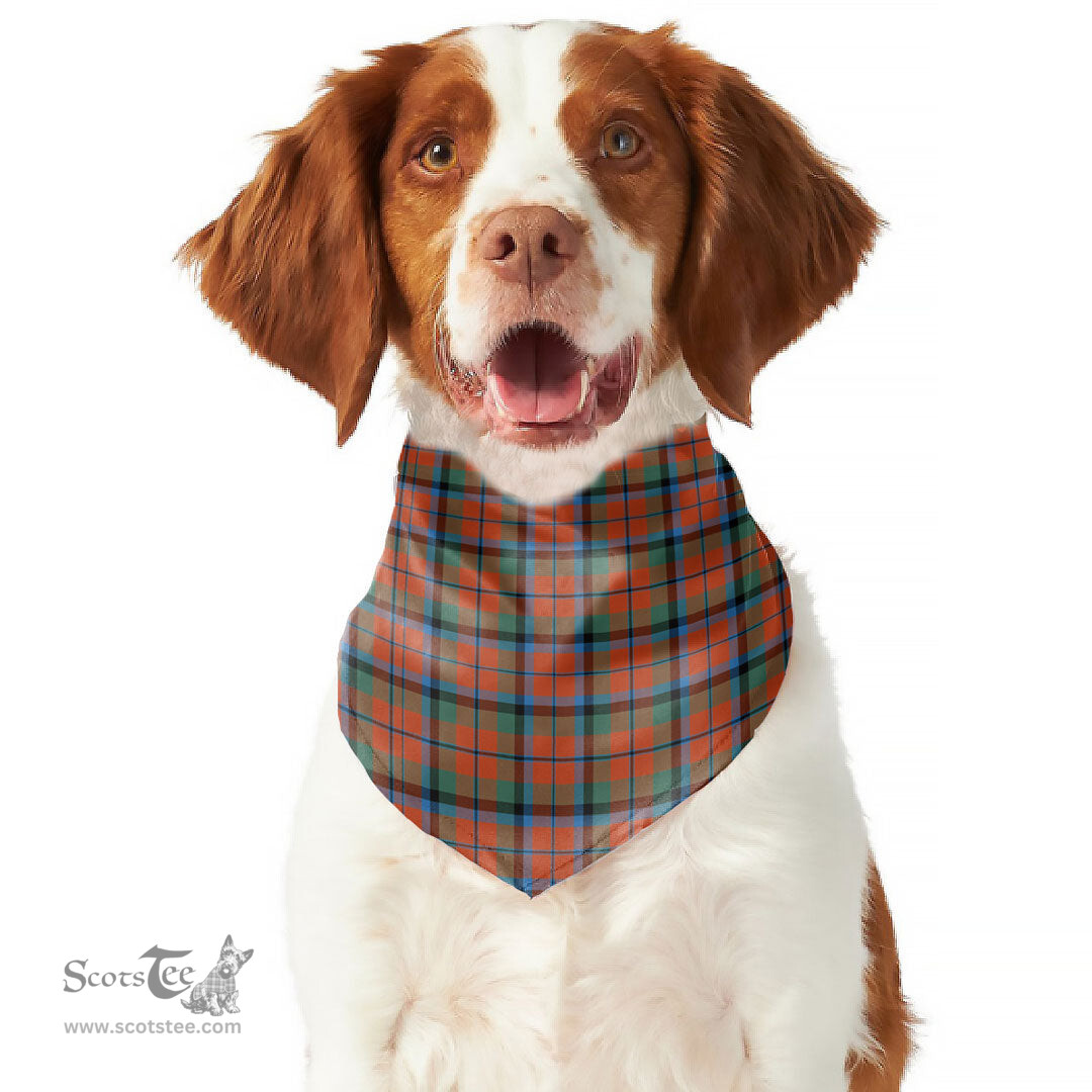 Scottish MacNaughton Ancient Clan Tartan Pets Scarf Pet Dog Bandana