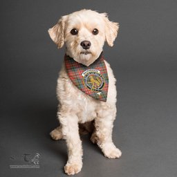 Scottish MacPherson Weathered Clan Crest Tartan Pets Scarf Pet Dog Bandana