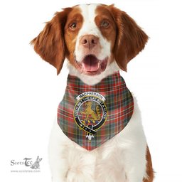 Scottish MacPherson Weathered Clan Crest Tartan Pets Scarf Pet Dog Bandana