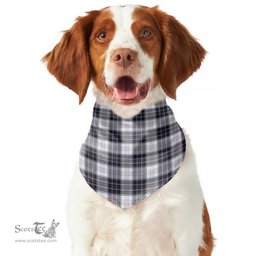 Scottish MacRae Dress Modern Clan Tartan Pets Scarf Pet Dog Bandana