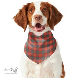 Scottish MacNab Ancient Clan Tartan Pets Scarf Pet Dog Bandana