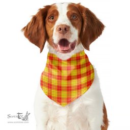 Scottish MacMillan Clan Clan Tartan Pets Scarf Pet Dog Bandana