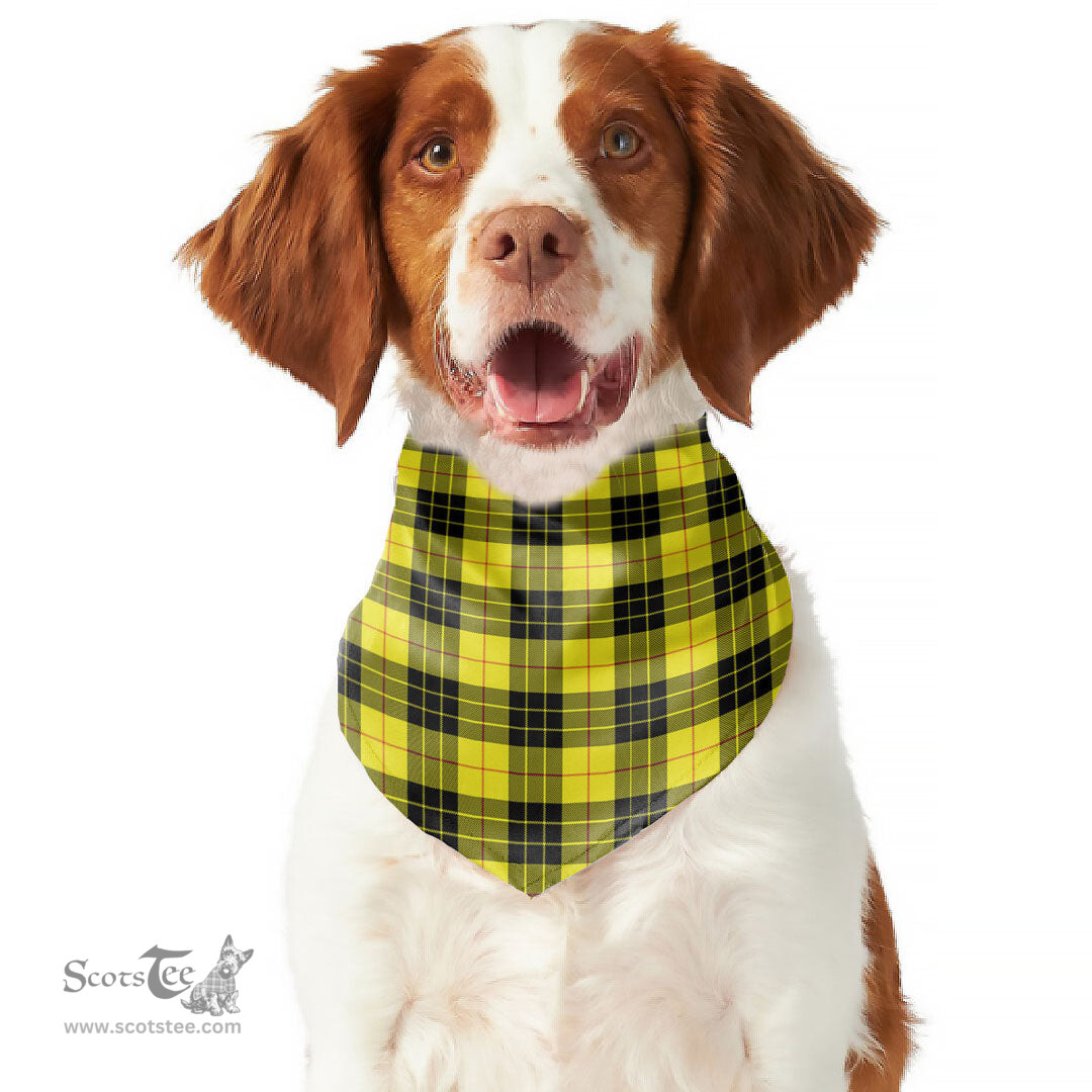 Scottish MacLeod of Lewis Modern Clan Tartan Pets Scarf Pet Dog Bandana