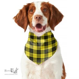 Scottish MacLeod of Lewis Modern Clan Tartan Pets Scarf Pet Dog Bandana