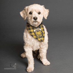 Scottish MacLeod of Lewis Ancient Clan Crest Tartan Pets Scarf Pet Dog Bandana