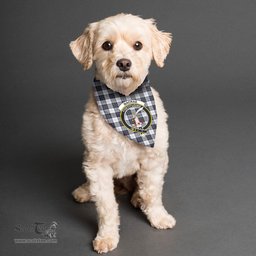 Scottish MacRae Dress Modern Clan Crest Tartan Pets Scarf Pet Dog Bandana