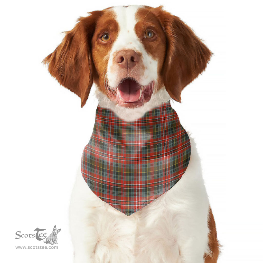 Scottish MacPherson Weathered Clan Tartan Pets Scarf Pet Dog Bandana