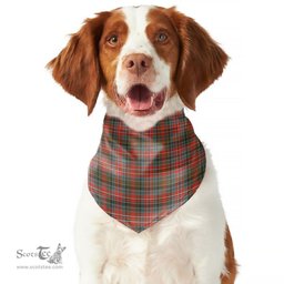 Scottish MacPherson Weathered Clan Tartan Pets Scarf Pet Dog Bandana