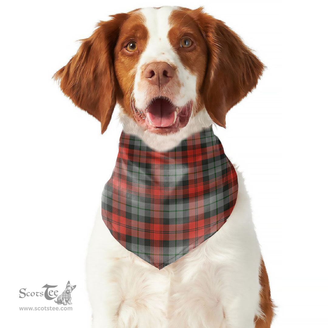 Scottish MacLachlan Weathered Clan Tartan Pets Scarf Pet Dog Bandana