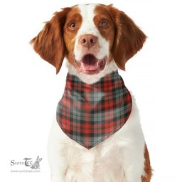 Scottish MacLachlan Weathered Clan Tartan Pets Scarf Pet Dog Bandana