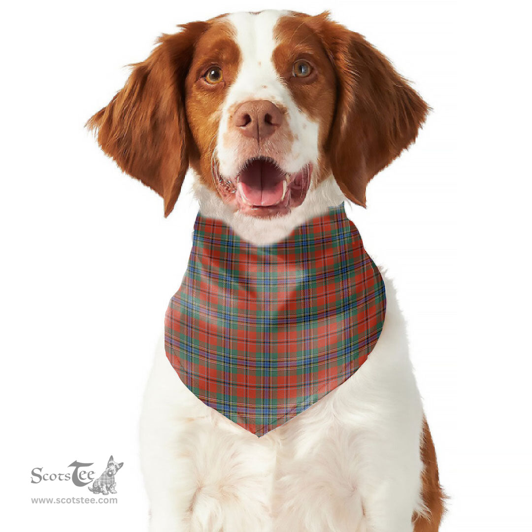 Scottish MacLean of Duart Ancient Clan Tartan Pets Scarf Pet Dog Bandana