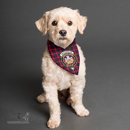 Scottish MacLachlan Modern Clan Crest Tartan Pets Scarf Pet Dog Bandana