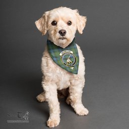 Scottish MacMillan Hunting Ancient Clan Crest Tartan Pets Scarf Pet Dog Bandana
