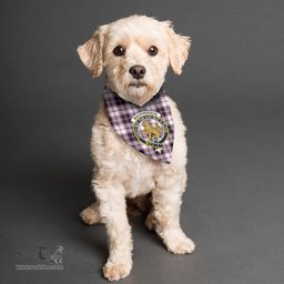 Scottish MacPherson Hunting Modern Clan Crest Tartan Pets Scarf Pet Dog Bandana