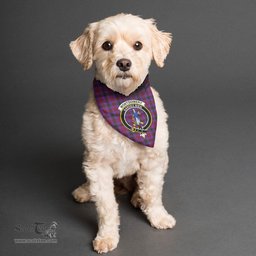 Scottish Montgomery Modern Clan Crest Tartan Pets Scarf Pet Dog Bandana