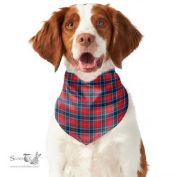 Scottish MacTavish Modern Clan Tartan Pets Scarf Pet Dog Bandana