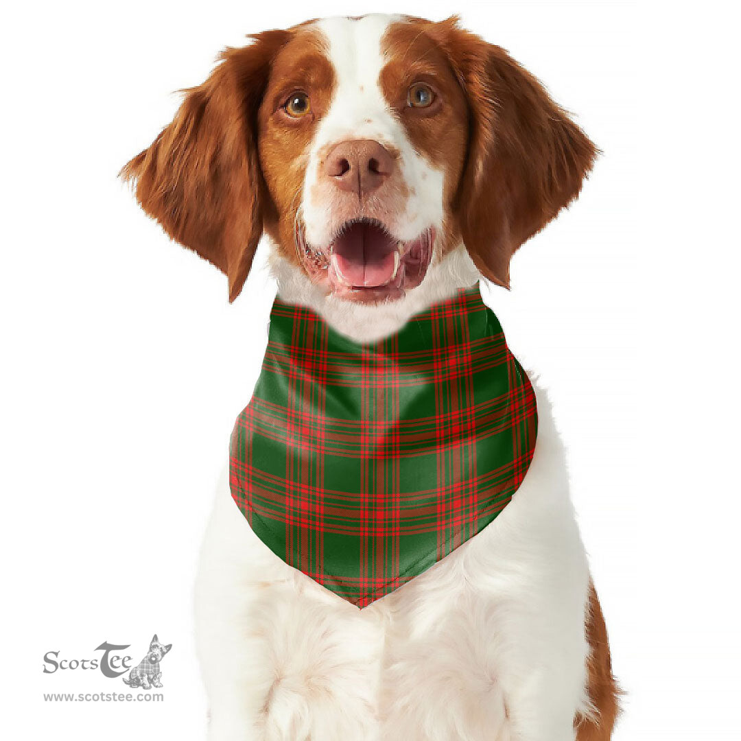 Scottish Menzies Green Modern Clan Tartan Pets Scarf Pet Dog Bandana