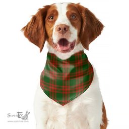 Scottish Menzies Green Modern Clan Tartan Pets Scarf Pet Dog Bandana