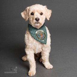 Scottish Melville Clan Crest Tartan Pets Scarf Pet Dog Bandana