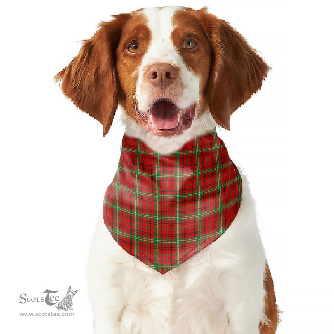 Scottish Morrison Red Modern Clan Tartan Pets Scarf Pet Dog Bandana