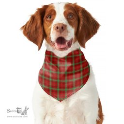 Scottish Morrison Red Modern Clan Tartan Pets Scarf Pet Dog Bandana