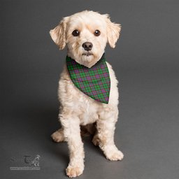 Scottish McGeachie Clan Tartan Pets Scarf Pet Dog Bandana
