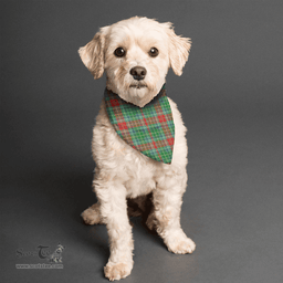 Scottish Muirhead Clan Tartan Pets Scarf Pet Dog Bandana