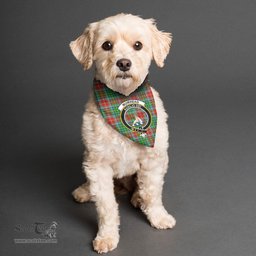 Scottish Muirhead Clan Crest Tartan Pets Scarf Pet Dog Bandana