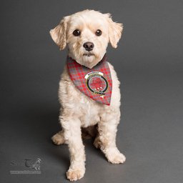 Scottish Moubray Clan Crest Tartan Pets Scarf Pet Dog Bandana