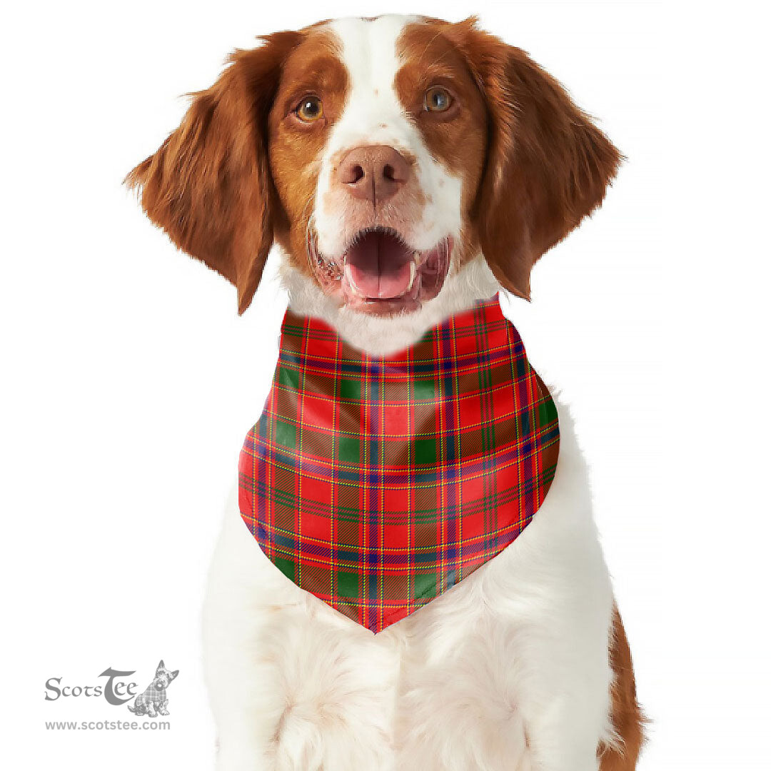 Scottish Munro Modern Clan Tartan Pets Scarf Pet Dog Bandana