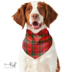 Scottish Munro Modern Clan Tartan Pets Scarf Pet Dog Bandana