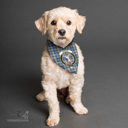 Scottish Napier Modern Clan Crest Tartan Pets Scarf Pet Dog Bandana