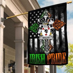 Irish Molloy-or-O-Mulloy Coat of Arms Irish Pride Garden Flag Irish American Flag ScotsTee Shop