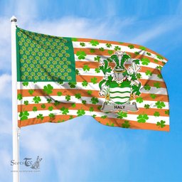 ScotsTee Shop Irish Haly Coat of Arms Irish Family Crest Flag Shamrock American Irish Flag
