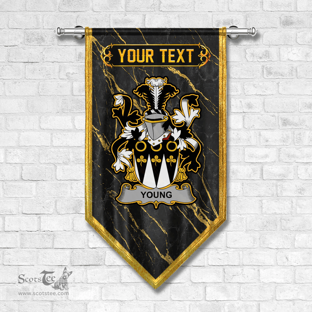 ScotsTee Shop Irish Young Coat of Arms Irish Family Crest Irish Gonfalon