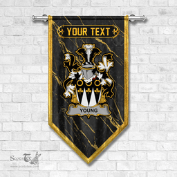 ScotsTee Shop Irish Young Coat of Arms Irish Family Crest Irish Gonfalon