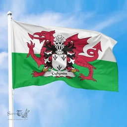 ScotsTee Shop Welsh Cylynin (of Powys) Coat of Arms Welsh Family Crest Flag The Red Dragon The Flag of Wales