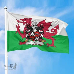 ScotsTee Shop Welsh Rhys (AB EINION SAIS) Coat of Arms Welsh Family Crest Flag The Red Dragon The Flag of Wales