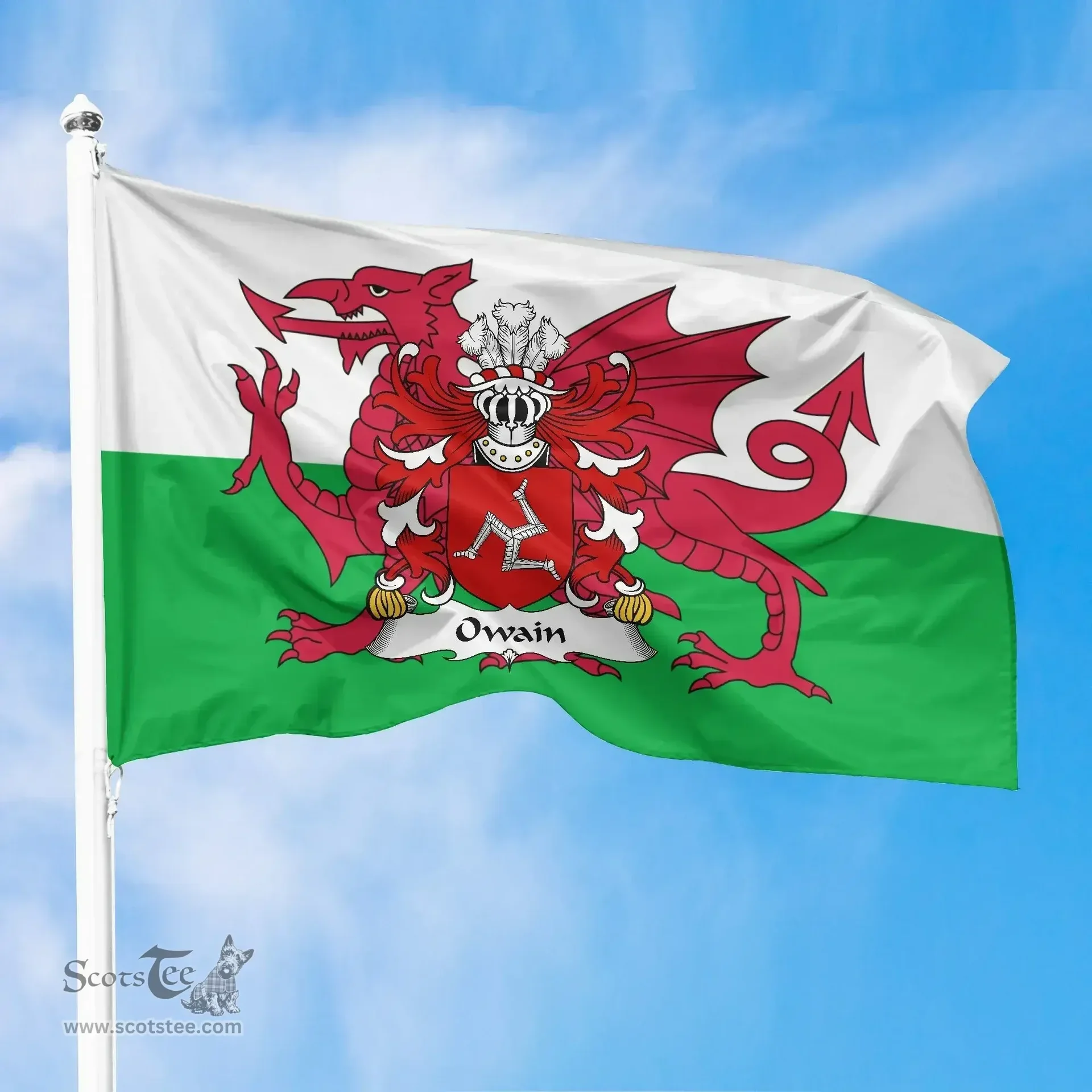 ScotsTee Shop Welsh Owain (AP EDWIN, or Owen) Coat of Arms Welsh Family Crest Flag The Red Dragon The Flag of Wales