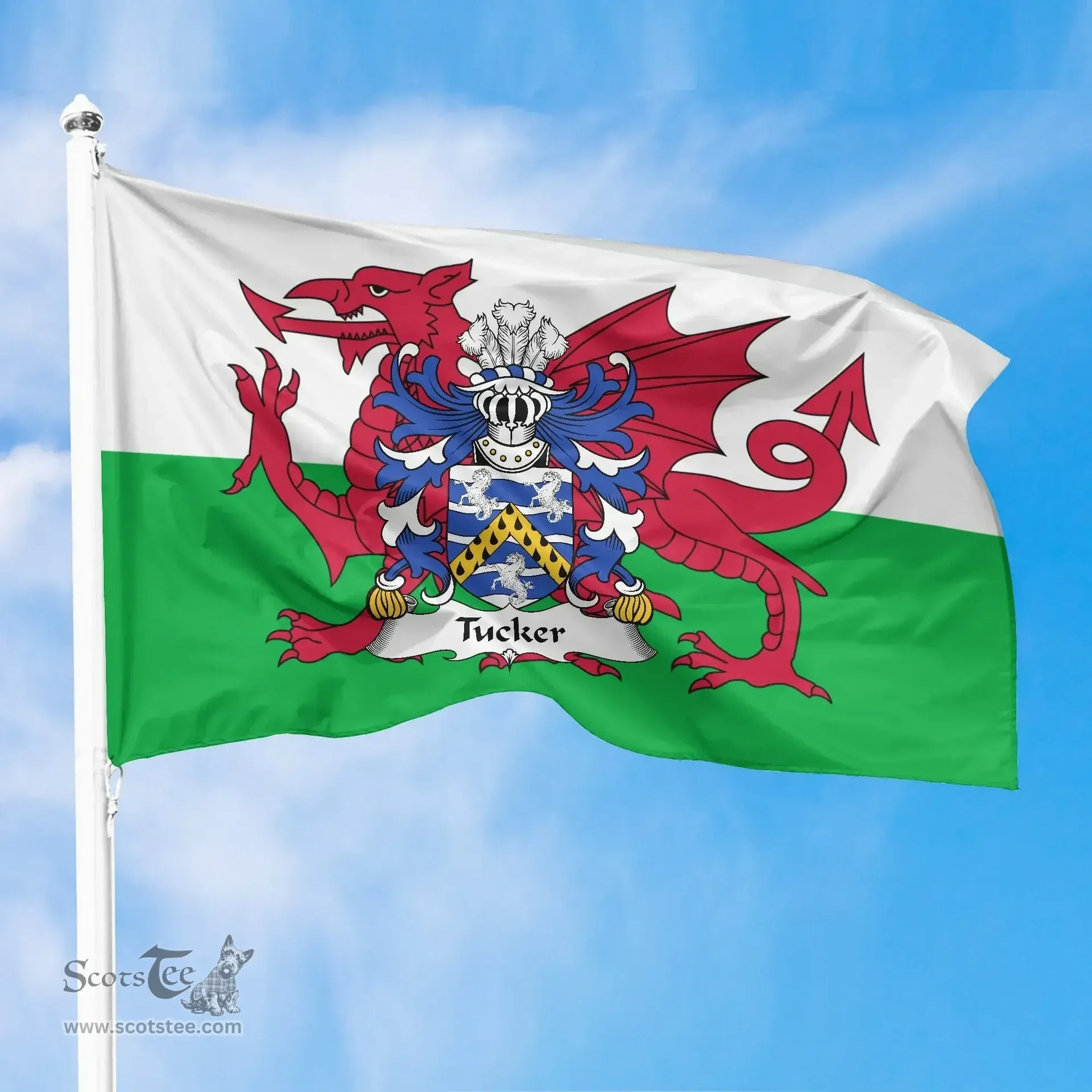 ScotsTee Shop Welsh Tucker (of Sealyham, Pembrokeshire) Coat of Arms Welsh Family Crest Flag The Red Dragon The Flag of Wales