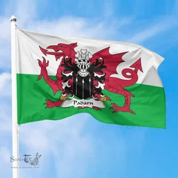ScotsTee Shop Welsh Padarn (PEISRUDD) Coat of Arms Welsh Family Crest Flag The Red Dragon The Flag of Wales