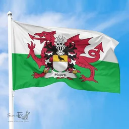ScotsTee Shop Welsh Hoord (Daughter m. Gruffudd Kynaston) Coat of Arms Welsh Family Crest Flag The Red Dragon The Flag of Wales