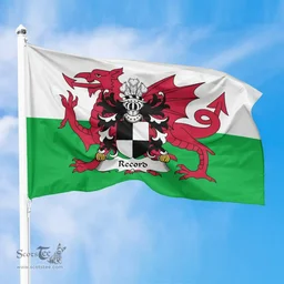 ScotsTee Shop Welsh Record (of Tenby, Pembrokeshire) Coat of Arms Welsh Family Crest Flag The Red Dragon The Flag of Wales