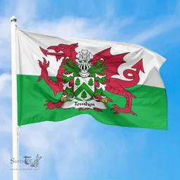 ScotsTee Shop Welsh Tomlyn (lord of Llanllywel, Montgomeryshire) Coat of Arms Welsh Family Crest Flag The Red Dragon The Flag of Wales