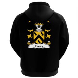 ScotsTee Shop Welsh Harry (AP THOMAS) Coat Of Arms Family Crest Welsh Hoodie Classic