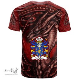 ScotsTee Shop Welsh Cuhelyn FARDD of Cemais Pembrokeshire Coat of Arms Family Crest Wales T Shirt Celtic Red Dragon T Shirt
